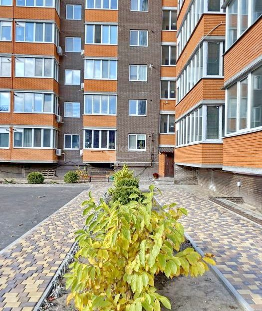 video image